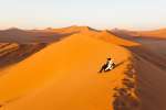 Dune 45
