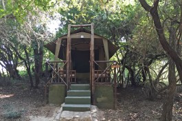 Treehouse Camp Tent 