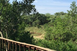 Private Reserve view from Safari Camp 