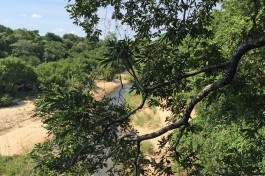 Treehouse Safari Camp view 