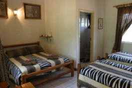 Private Safari Lodge Room 