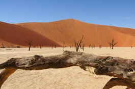 Namibia Desert Safari, Deadvlei 