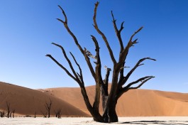 Namibia Safari, Sossusvlei 