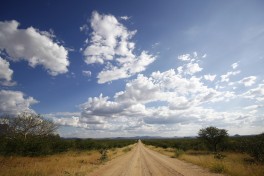 Grootfontein, Namibia Safari 