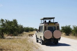 African Safari vehicle, Namibia 