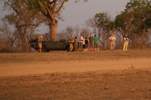 Game drive at kruger national park.gallery image.5
