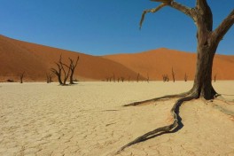 Deadvlei, Namib Desert 