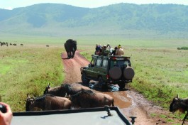 Ngorongoro Crater 