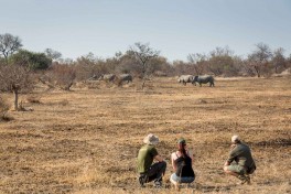 Walking safari in Kruger 