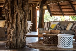 Camp lounge 