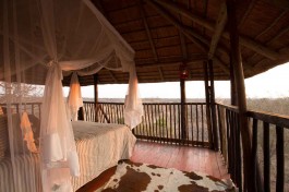 Treehouse 