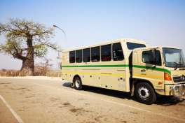 Overland Tour Vehicle with Baobab Tree 