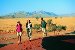 Namib Desert Namibia Image 