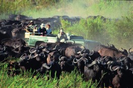 Masai Mara in Kenya 