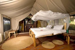 Lake Manyara lodge 