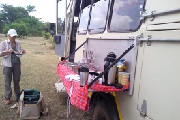 Lunch 