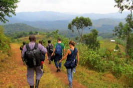 Clients on gorilla trek 