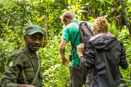 Clients trekking gorillas in Bwindi 