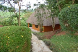 Kibale lodge 