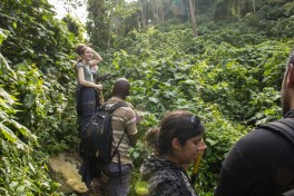 Rwanda gorilla trek 