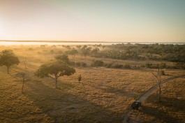 Sabi Sands Safari game drive 