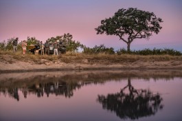 Sabi Sands Safari sundowners 