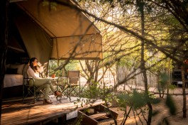 Sabi Sands Lodge tent 