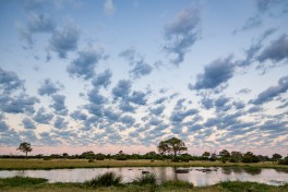 Botswana scenery 