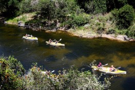 Wilderness Canoeing  by Warren Rohner
