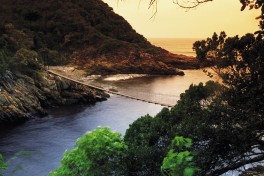 Tsitsikamma - Storms River bridge 