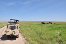 Kenya vehicle 