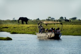 Chobe River cruise 