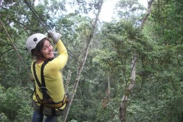Tsitsikamma Forest zipline  by Dave Lonsdale