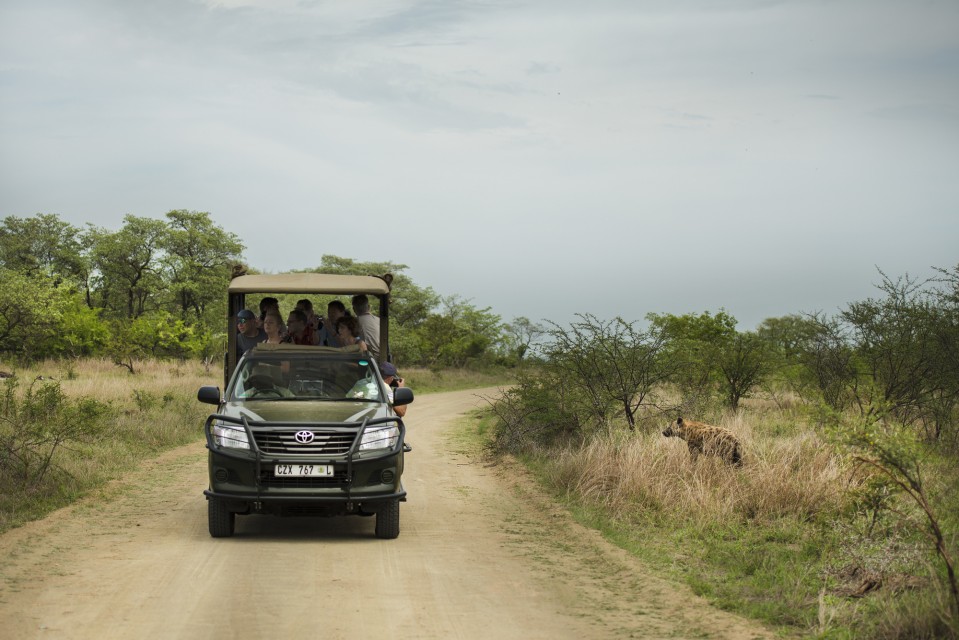 South Africa Safari, Kruger Park