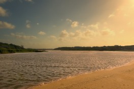 St Lucia estuary, Isimangaliso  by Steve Slater