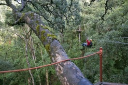 Tsitsikamma, Garden Route  by South African Tourism
