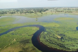 Okavango Delta  by Joachim Huber