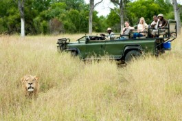 Close encounter game drive 
