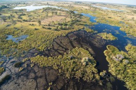 Aerial of delta 