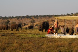 Chobe cruise 