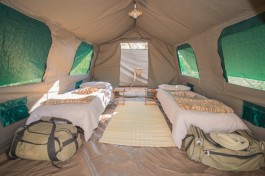Tented room 