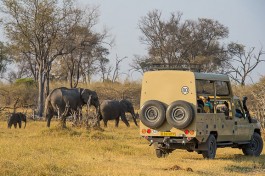 Game drive 