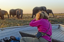 Chobe River cruise 