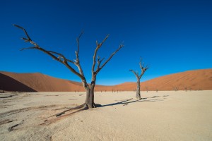 Deadvlei