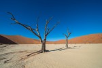 Deadvlei 