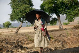 Blue Nile Falls portrait 