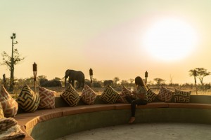 Budget African Safari Lodges