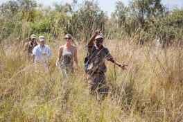 Game walks on African Safari in Zimbabwe 