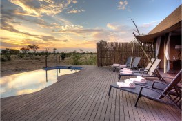 Swimming pool in the main area 