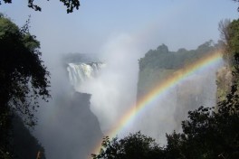Zimbabwe Safari to Victoria Falls 